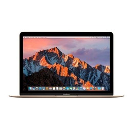 Apple MacBook (12 inch, late 2018)